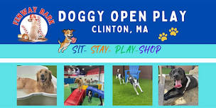 Doggy Open Play