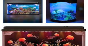 And everything you need to enjoy them. All Five Oceans Best Artificial Jellyfish Tank Aquarium