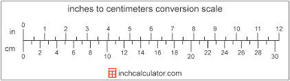 Inches To Cm Conversion Inches To Centimeters Inch