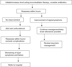 Image result for COPD Exacerbation Decision Tool