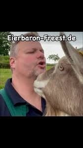 Freest Eierbaron
