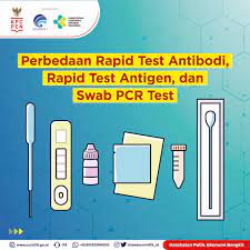 Antigen dapat berupa protein, lipid, polisakarida maupun asam nukleat. Perbedaan Rapid Test Antibodi Rapid Test Antigen Dan Swab Pcr Test Masyarakat Umum Covid19 Go Id