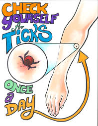 If you need multiple or large format prints, go to order online (poster and digital prints). Isdh Tickborne Disease Prevention Poster Contest