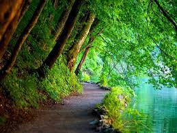 Breathtaking Nature Steemit Nature Desktop Wallpaper Nature Desktop Nature Wallpaper