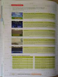 Ending today at 6:09pm pst. More Inside Previews From The Animal Crossing New Horizons Official Companion Guide Animal Crossing World