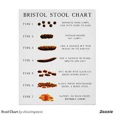 Stool Chart Zazzle Com In 2021 Stool Chart Bristol Stool Chart Bristol Stool