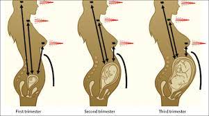 Effects Of Cancer Treatment During Pregnancy On Fetal And Child Development The Lancet Child Adolescent Health
