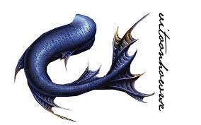 Mermaid Tail Png Set Sailing Art Mermaid Tail Mermaid Art