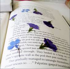 For fuller flowers, push out the petals from the center to. Dried And Pressed Flower Crafts Literary Spring Designs
