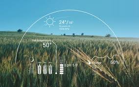 The importance of pest definitions. Ai In Agriculture Application Of Artificial Intelligence In Agriculture