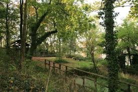 Le Jardin Sauvage Saint Vincent