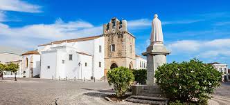 Image result for Faroa duvigneaud