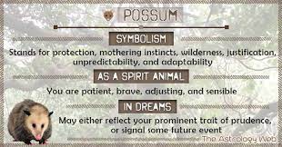 Pin By Zoei Cohen On Totem Animal Spirit Animal Spirit Animal Meaning Animal Spirit Guides