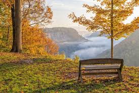 Maybe you would like to learn more about one of these? 17 Unforgettable Rv Camp Spots In New York Both Parks And Rustic Camper Report