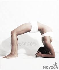 Upward Bow Pose Headstand Pose Urdhva Danurasana Sirsasana Headstand Poses Bow Pose Fitness Body