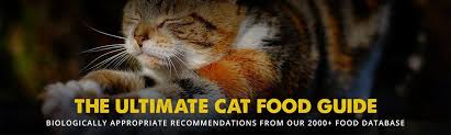 Do it and do it right, or don't do it at all. The 8 Best Cat Food Reviews From Our Insanely Huge Food Database