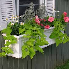 We did not find results for: Mayne Fairfield Window Box In White Bed Bath Beyond