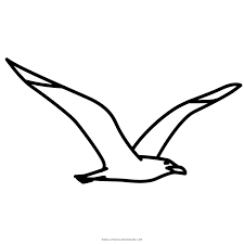 Each color scheme contains the html color codes you will need when coding your website template. Seagull Coloring Page Ultra Coloring Pages
