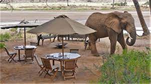 This camp in samburu, kenya offers luxury in a setting of breathtaking beauty. Elephant Bedroom Camp Muthaiga Travel Kenya S Leading Travel Agency