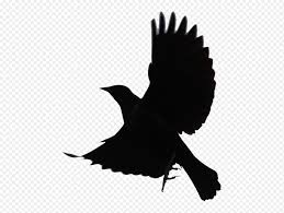 Black Bird Png Blackbird Png Transparent Png Mart 1848 1391 Png Download Free Transparent Background Black Bi In 2020 Cartoon Clip Art Bird Silhouette Black Bird