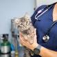 Best Friends Pet Vaccine and Microchip Clinic event image