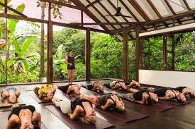 Tula yoga is a complete health & wellness studio offering over 40 weekly classes, workshops, retreats and teacher training's. 200 Hour Yoga Teacher Training Bali Radiantly Alive Yoga