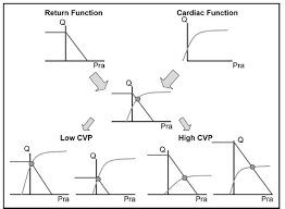 Instead of reading line by line, we will conclusion of troubleshooting performed we can see that cvp (10.10.10.20) sent the invite to cucm (10.10.10.40). Central Venous Pressure Principles Measurement And Interpretation Vetfolio