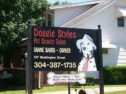 Dog Groomer Dog Grooming Shop Pet Grooming Business Grooming Shop