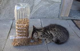 Plastic Bottle Pet Food Dispenser Petdiys Com Pet Food Dispenser Food Animals Diy Plastic Bottle