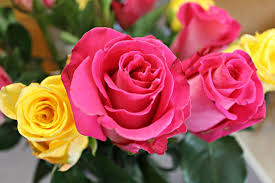 Just like the shark tank skincare scam i reported on a few years ago, this scam is designed to part you. The Bouqs Live Flowers Delivered Fresh Review