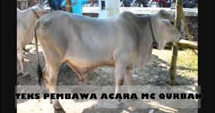 Schau dir angebote von ‪minecarft‬ auf ebay an. Contoh Teks Mc Pembawa Acara Hari Qurban Muda Mudi Condrowangsan