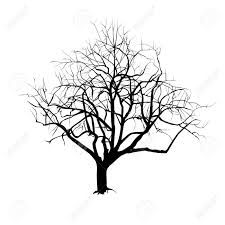 15 inspirant de dessin arbre d'automne images : Silhouette D Arbre Avec Des Feuilles Tombees En Hiver Le Dessin Vectoriel En Noir Et Blanc Clip Art Libres De Droits Vecteurs Et Illustration Image 89747468