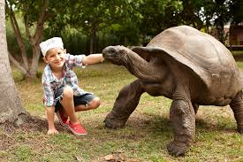 Explore frégate holidays and discover the best time and places to visit. Fregate Island Private Home Facebook