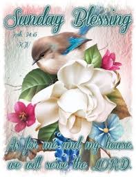 Blessings quotes that will make your day. 10 Best Sunday Blessings Quotes To Start Your Day Good Morning Happy Sunday Happy Sunday Quotes Sunday Greetings