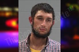 Tierra Harrison — Baldwin County Jail Bookings