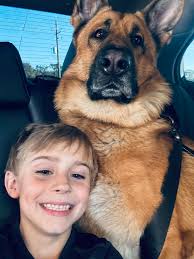 Some pictures of the best boy ❤️