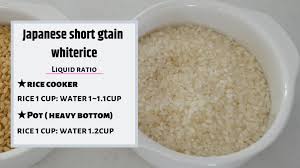 The spruce rice noodles are a common ingredient in a lot of asian dishes. How To Cook Perfect Rice White Rice Vs Brown Rice Kpb Basic 1 Ep139 Princessbamboo Com