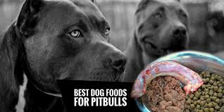 4 Best Dog Foods For Pitbulls Natural High Protein Low Fat