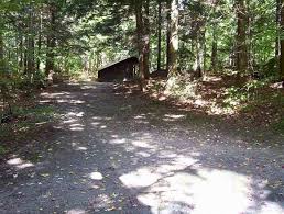 Ash Gifford Woods Looks Secluded No Lake State Parks Vermont Park