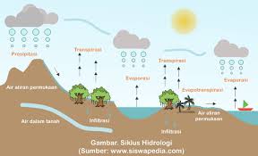 Evaporasi adalah proses dimana air berubah dari cairan menjadi gas atau uap. Proses Dan Macam Macam Siklus Daur Air Siswapedia