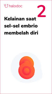 Demikianlah tentang cara alami menggugurkan kandungan, bukan bermaksud membohongi para pembaca, karena dalam terapi kesuburan, cara mengatasi terlambat datang bulan. Berpotensi Menggugurkan Kandungan Ini Makanan Yang Perlu Diwaspadai