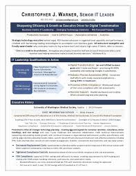 Executive Resume Cover Letter Best Of Sample Cover Letter For Vp Corporate Strategy Executive In 2020 Executive Resume Cover Letter For Resume Resume Writing Services