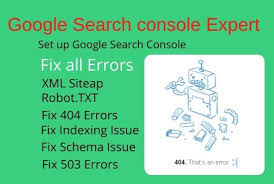 This error can be fixed with special software that repairs the registry and tunes up. I Will Fix Google Search Console Errors Google Indexing Error For 70 Seoclerks