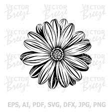 Vector Flower Gerbera Daisy Original Floral Graphic Digital Etsy Vector Flowers Gerbera Daisy Gerbera Daisy Tattoo