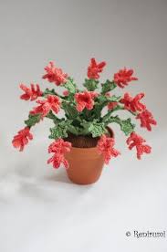 If the roots get too wet your plant may be in trouble. Crochet Pattern Christmas Cactus Crochet Plant Crochet Flowers Crochet Cactus