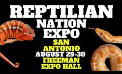 Reptilian Nation Expo