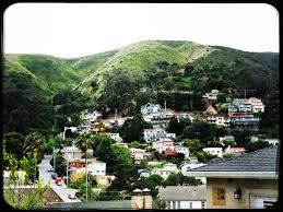 View businesses, restaurants, and shopping in. Save The Acres Brisbane Ca Home Facebook