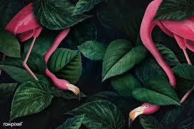 Download Premium Illustration Of Flamingos On A Leafy Background 842122 Flamingo Illustration Flamingo Painting Wallpaper