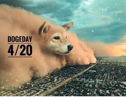 Follow the live price of doge and track changes in usd, eur, jpy dogecoin price index. Dogecoin Markets Soar As Token Nears A Half Dollar Doge Price Climbs 18 299 In 12 Months Altcoins Bitcoin News