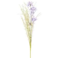 Malaga orasul lui picasso copaci cu libertatea naturii. Decoratiune Flora 812 Produse Mobmob Ro